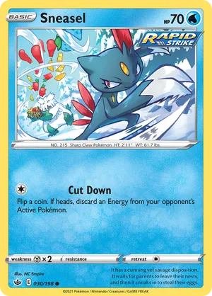 Sneasel #030