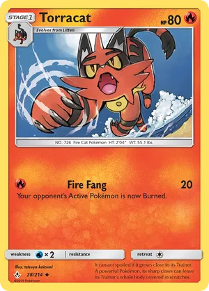 Torracat #028