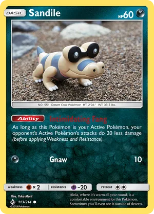 Sandile #113