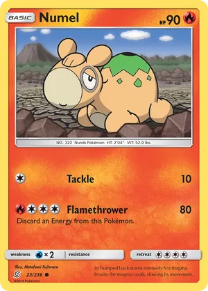 Numel #023