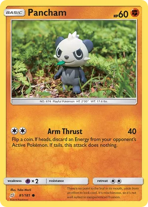 Pancham #081