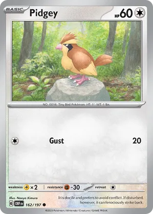 Pidgey #162