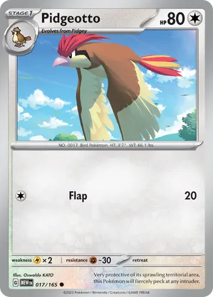 Pidgeotto #017