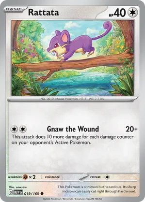 Rattata #019