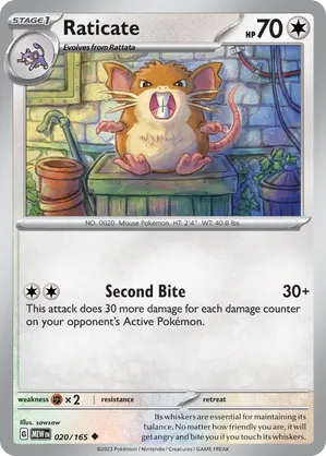 Raticate #020