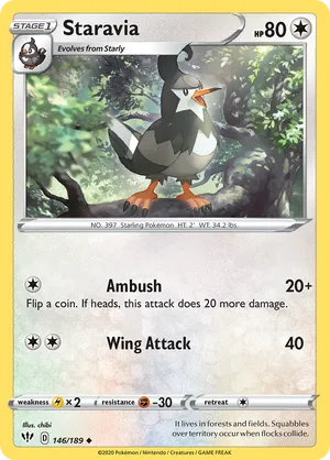 Staravia #146
