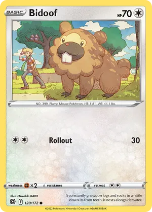 Bidoof #120